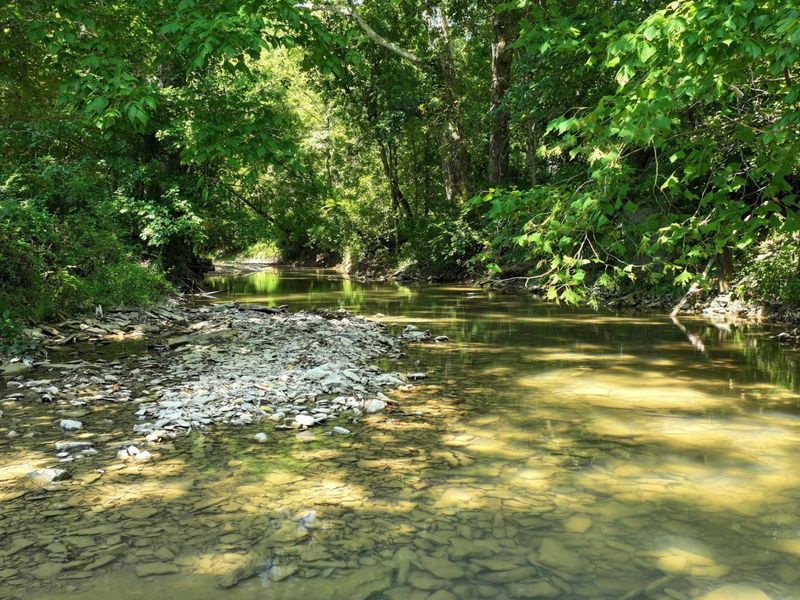 1629 Ky Highway 1130, Sanders, KY 41083 Photo 17