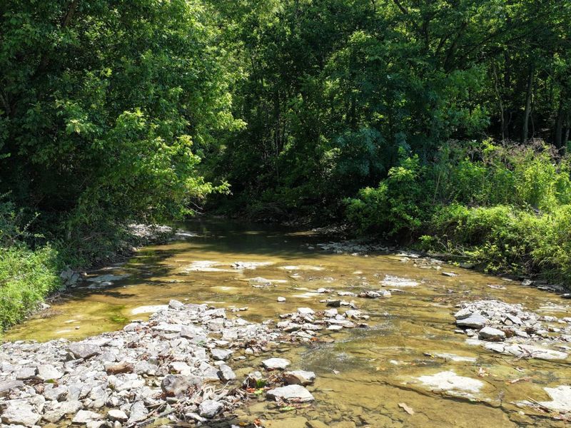 1629 Ky Highway 1130, Sanders, KY 41083 Photo 18