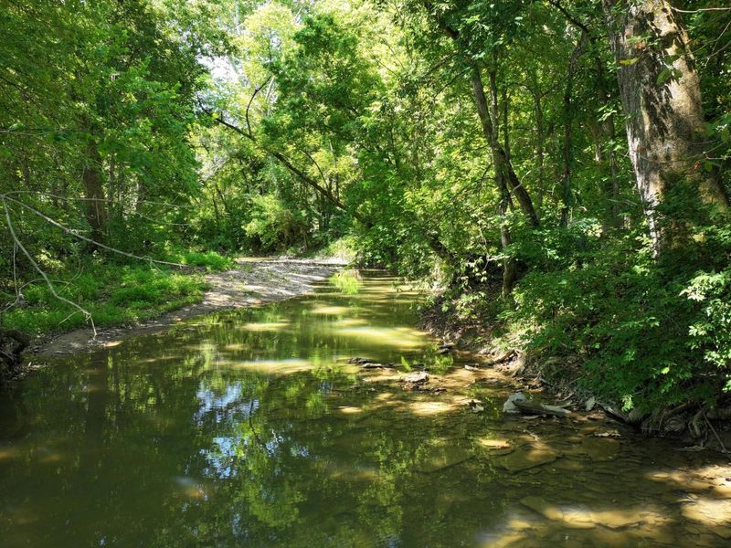 1629 Ky Highway 1130, Sanders, KY 41083 Photo 19