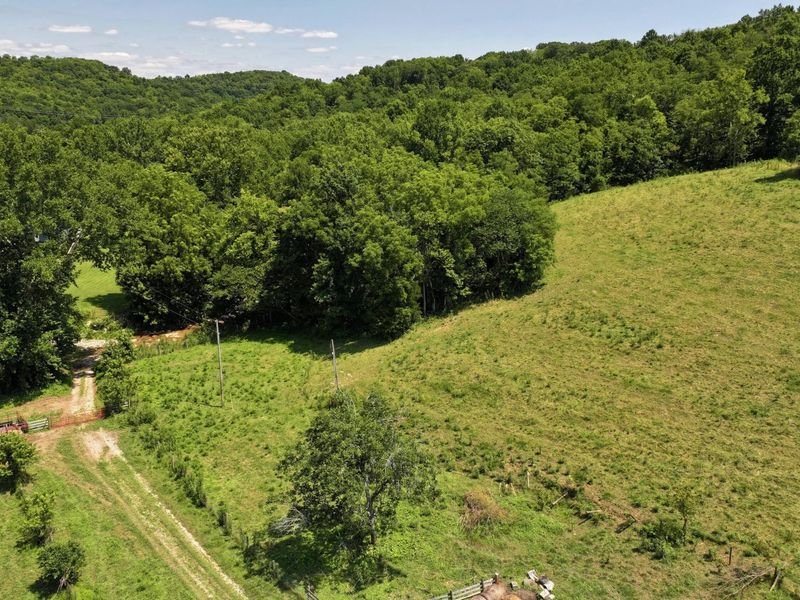 1629 Ky Highway 1130, Sanders, KY 41083 Photo 2
