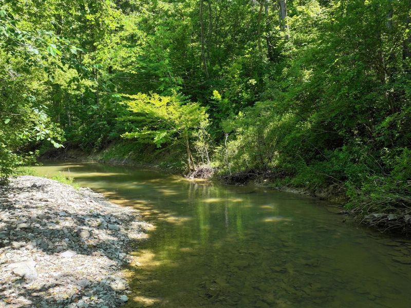 1629 Ky Highway 1130, Sanders, KY 41083 Photo 20