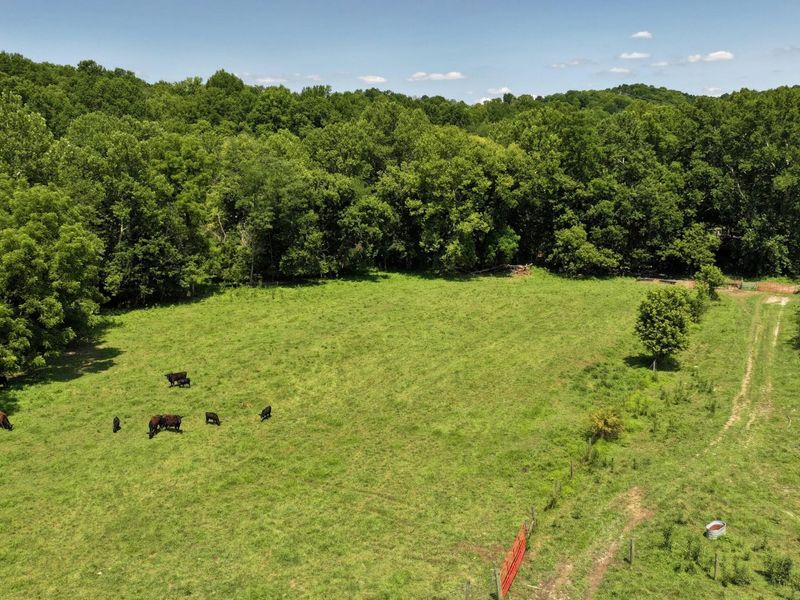 1629 Ky Highway 1130, Sanders, KY 41083 Photo 22