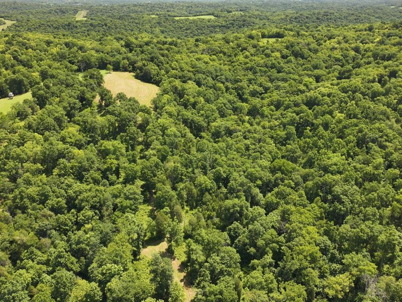 1629 Ky Highway 1130, Sanders, KY 41083 Photo 23