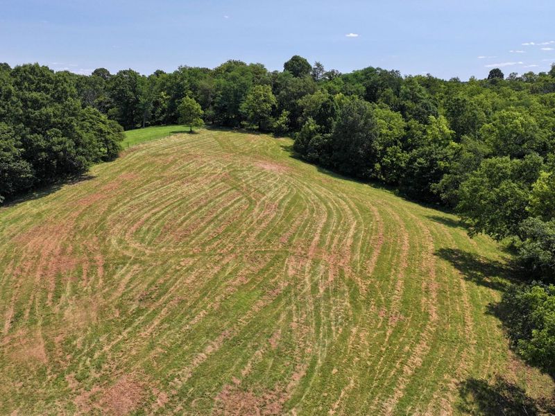 1629 Ky Highway 1130, Sanders, KY 41083 Photo 24