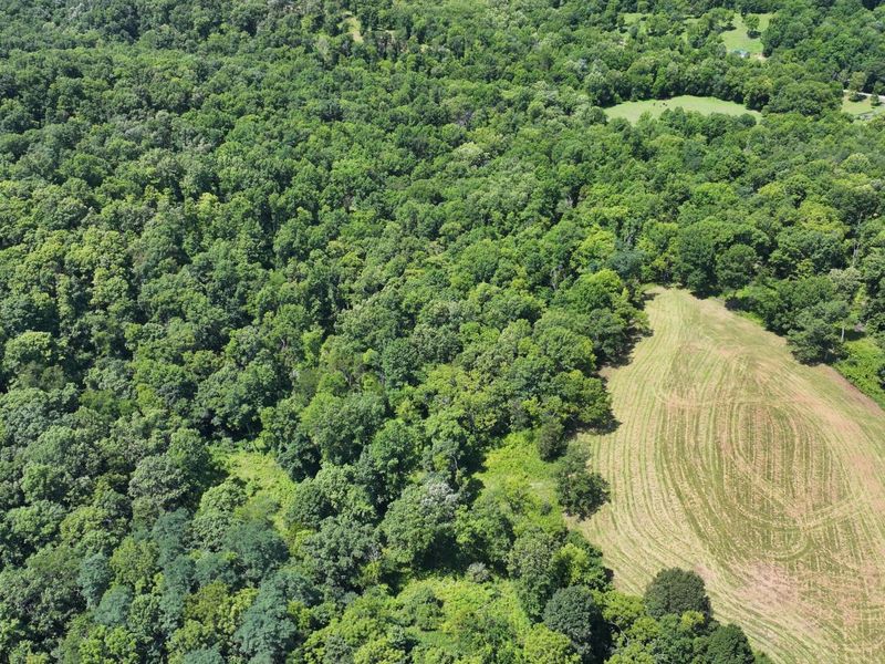 1629 Ky Highway 1130, Sanders, KY 41083 Photo 25