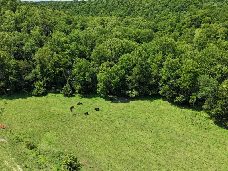 1629 Ky Highway 1130, Sanders, KY 41083 Photo 26