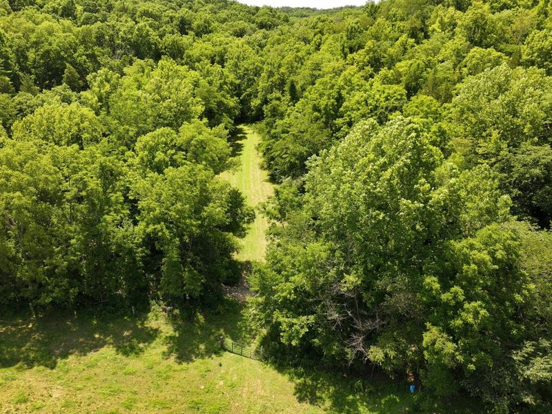 1629 Ky Highway 1130, Sanders, KY 41083 Photo 27