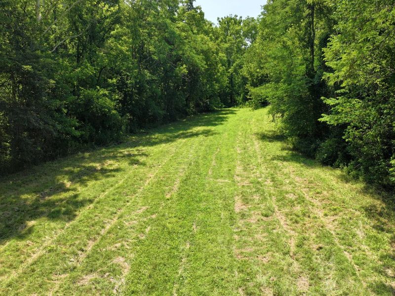 1629 Ky Highway 1130, Sanders, KY 41083 Photo 28