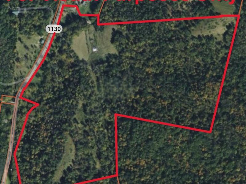 1629 Ky Highway 1130, Sanders, KY 41083 Photo 30