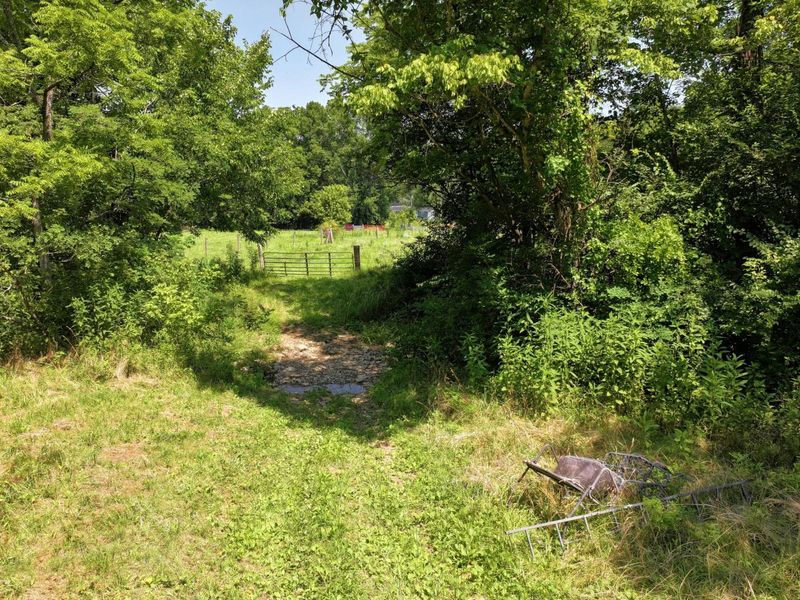 1629 Ky Highway 1130, Sanders, KY 41083 Photo 31