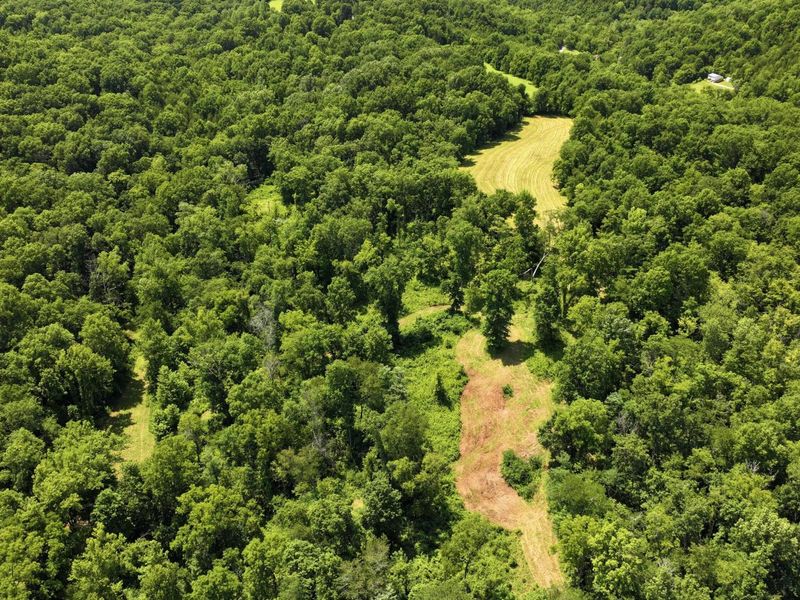 1629 Ky Highway 1130, Sanders, KY 41083 Photo 32