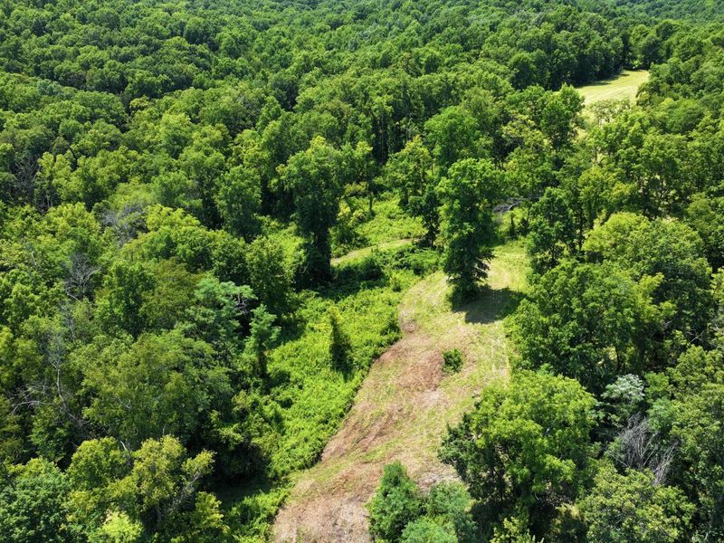 1629 Ky Highway 1130, Sanders, KY 41083 Photo 33