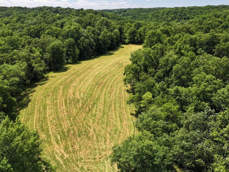 1629 Ky Highway 1130, Sanders, KY 41083 Photo 34