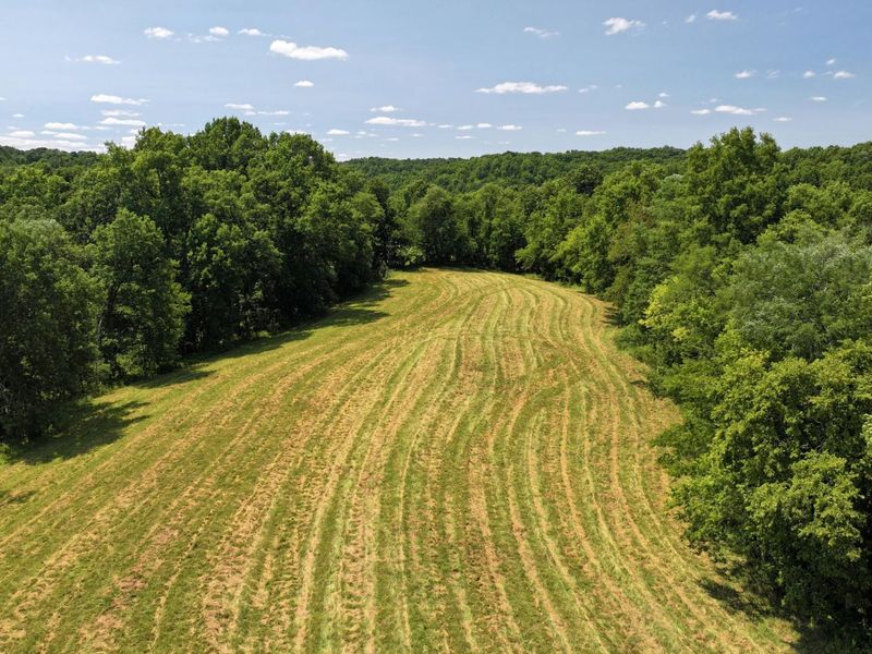 1629 Ky Highway 1130, Sanders, KY 41083 Photo 35