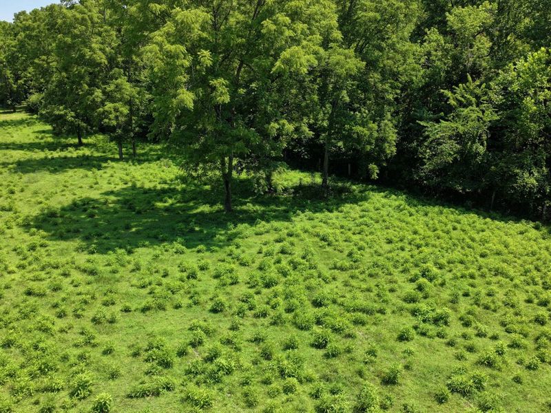 1629 Ky Highway 1130, Sanders, KY 41083 Photo 38