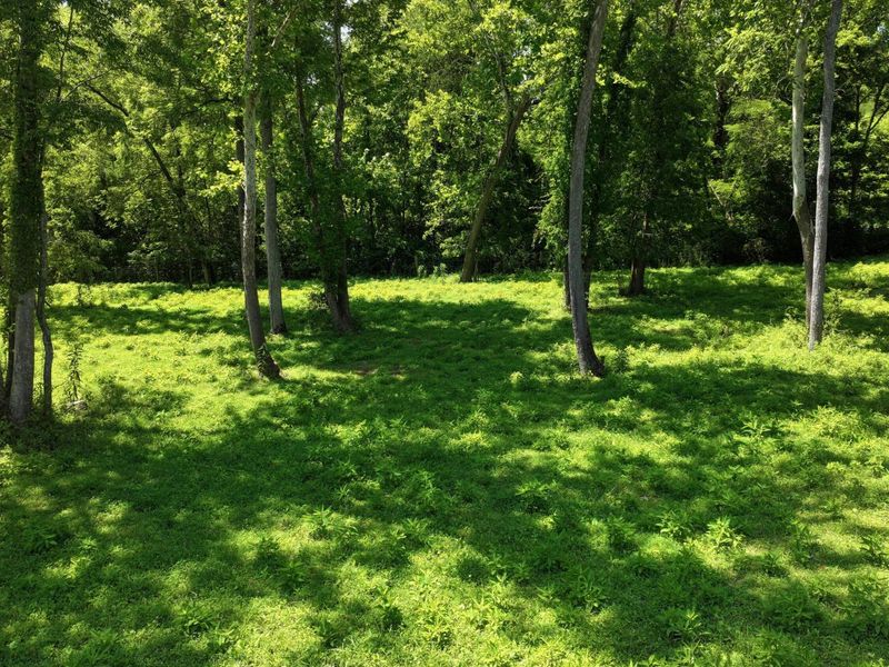 1629 Ky Highway 1130, Sanders, KY 41083 Photo 39