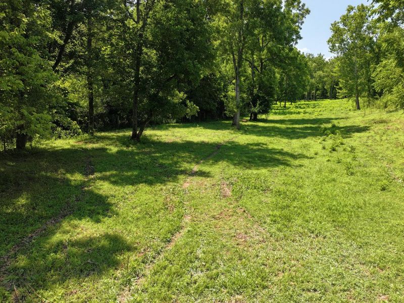1629 Ky Highway 1130, Sanders, KY 41083 Photo 41