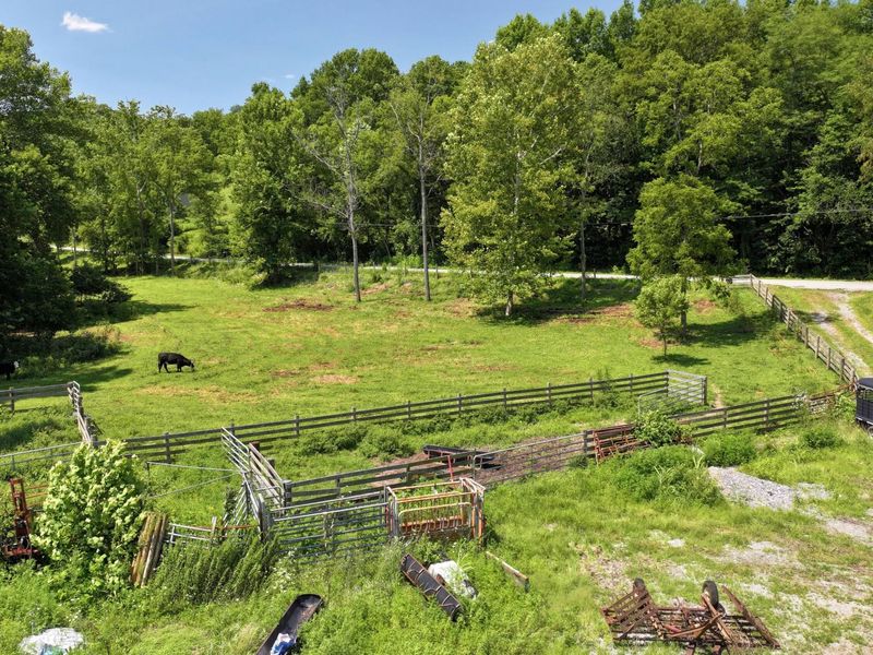 1629 Ky Highway 1130, Sanders, KY 41083 Photo 5