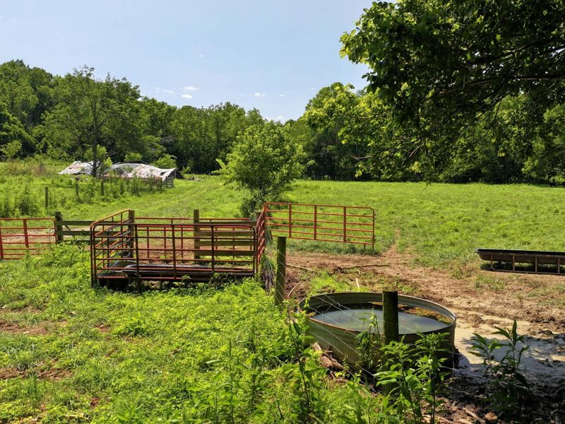 1629 Ky Highway 1130, Sanders, KY 41083 Photo 7