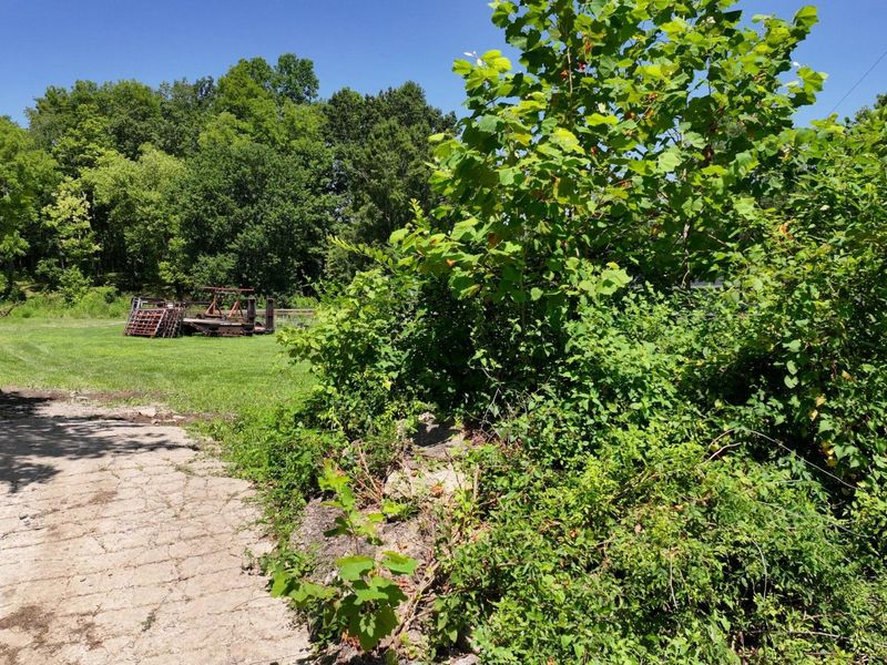 1629 Ky Highway 1130, Sanders, KY 41083 Photo 8