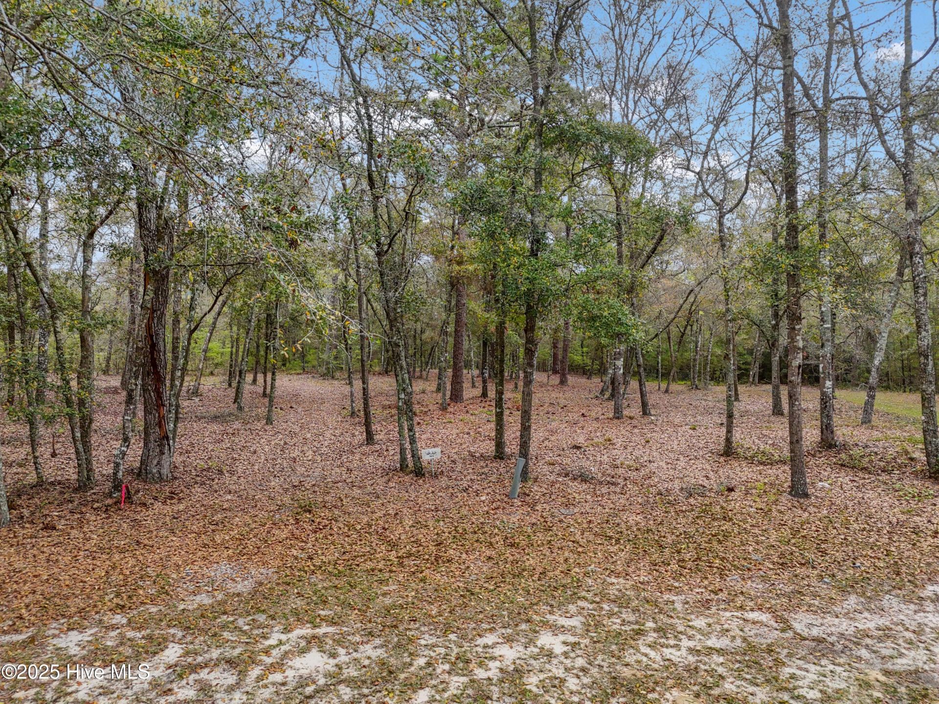 584 Asphodel Drive Sw, Supply, NC 28462 Main Photo