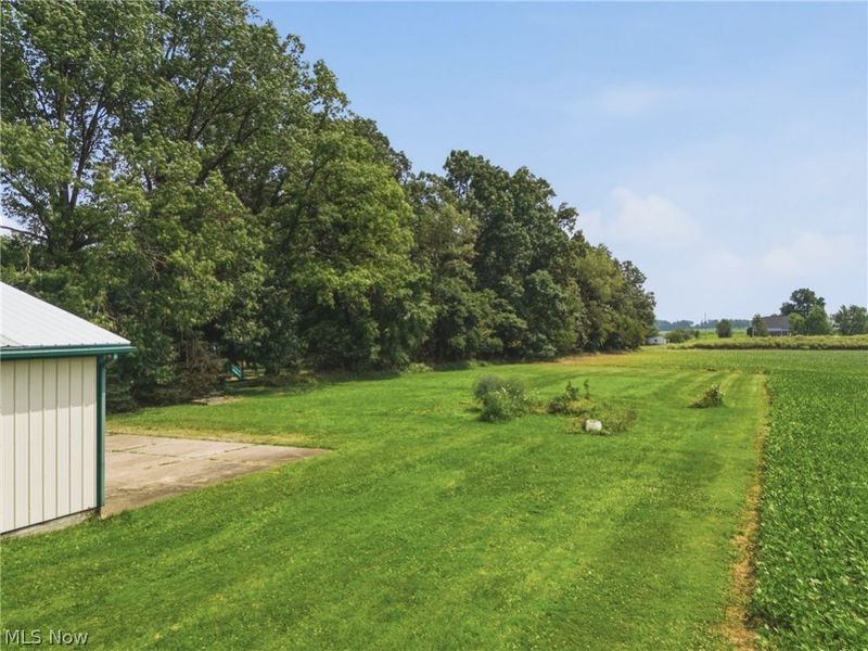 6828 Angling Road, Wooster, OH 44691 Photo 39