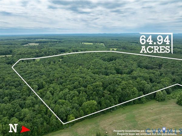 516,480,724 Perkins Mill Road , Dillwyn, VA 23936