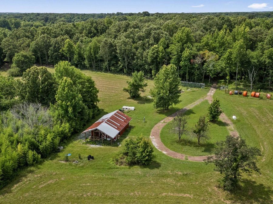 Property Image 39