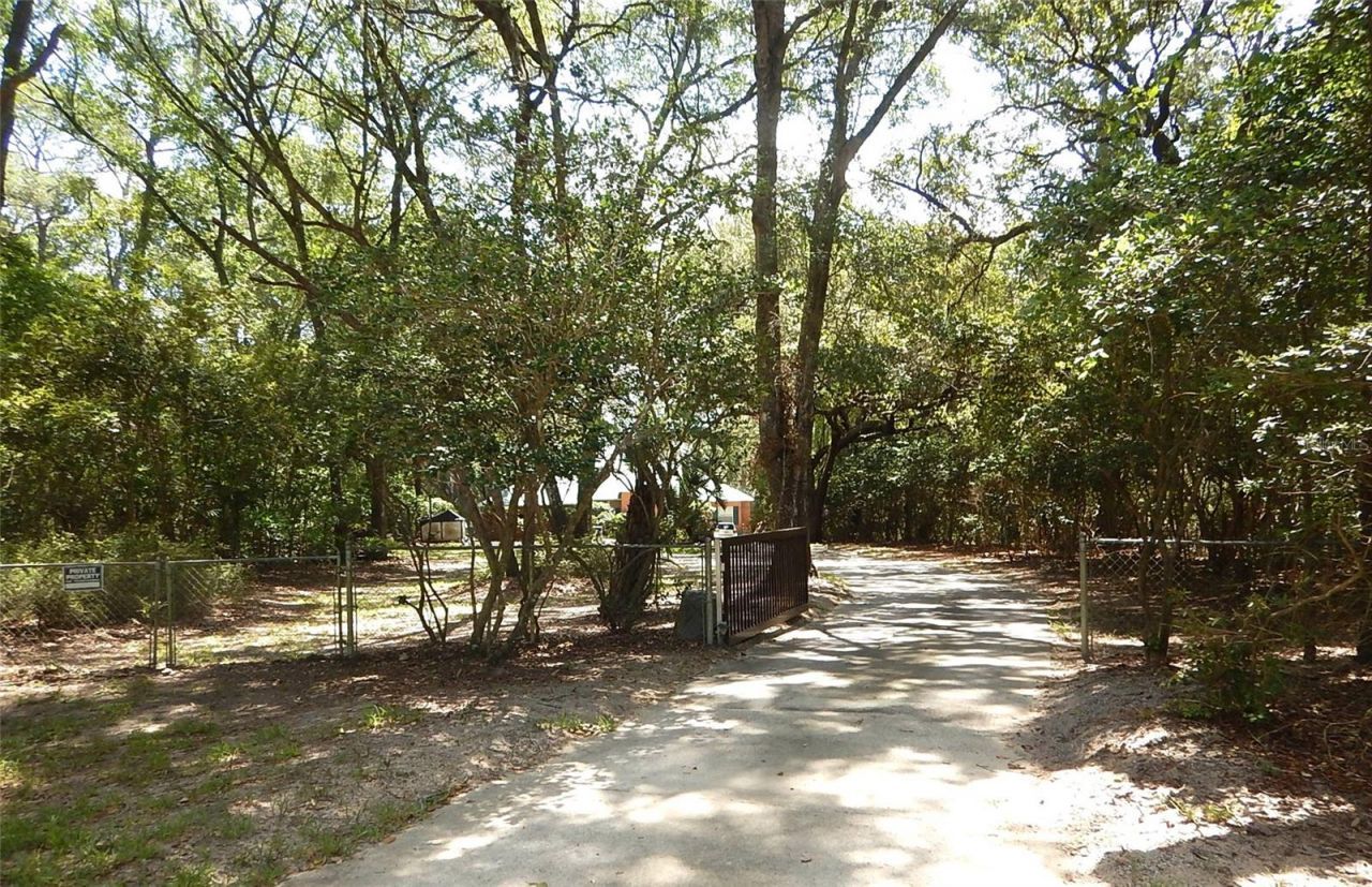 8315 Lilly Lake Road, Melrose, FL 32666 Photo