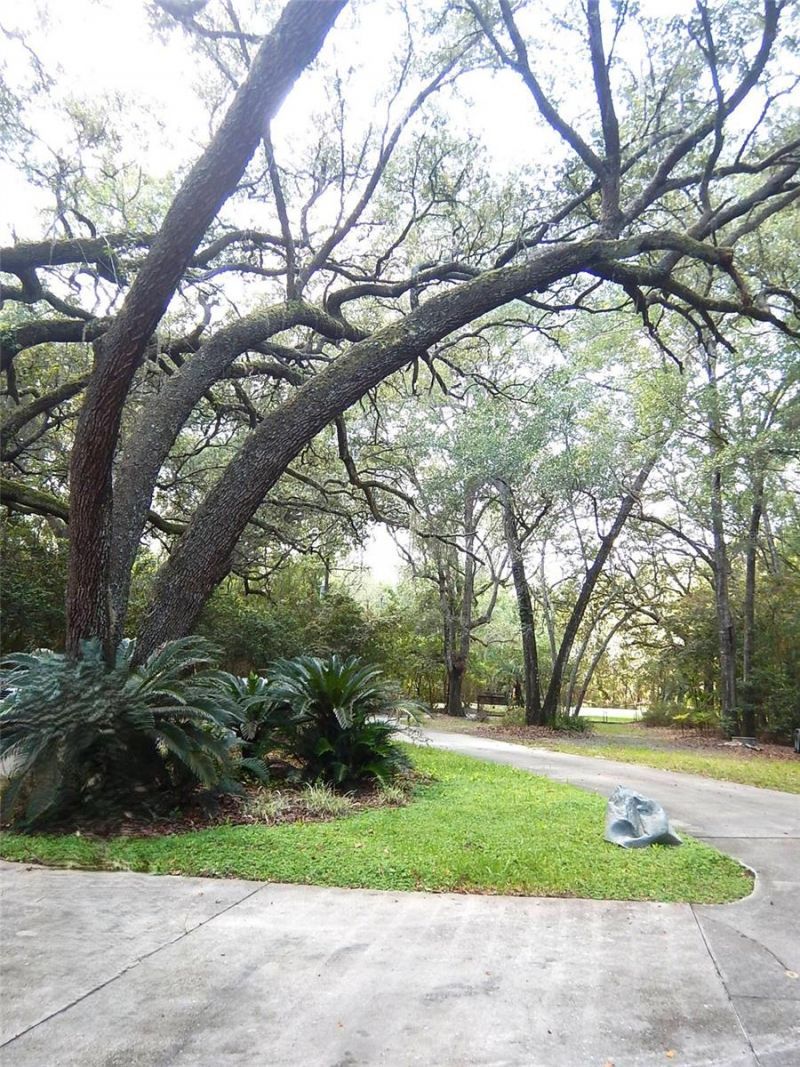 8315 Lilly Lake Road, Melrose, FL 32666 Photo