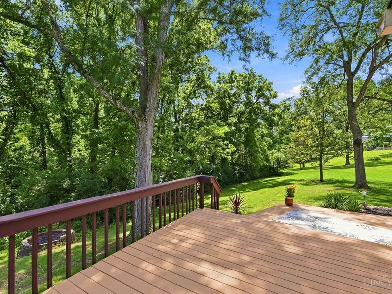 1163 Gleneagles Court, Delhi Twp, OH 45233 Photo 34
