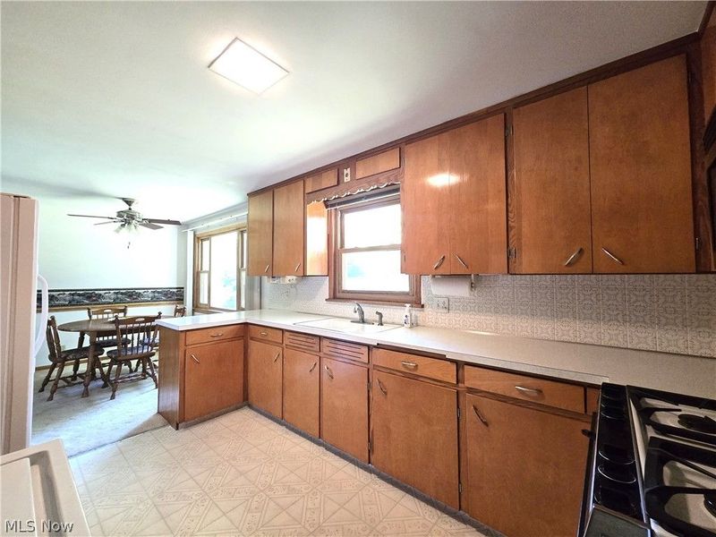 116 Hawthorne Avenue , Rittman, OH 44270 Photo 10