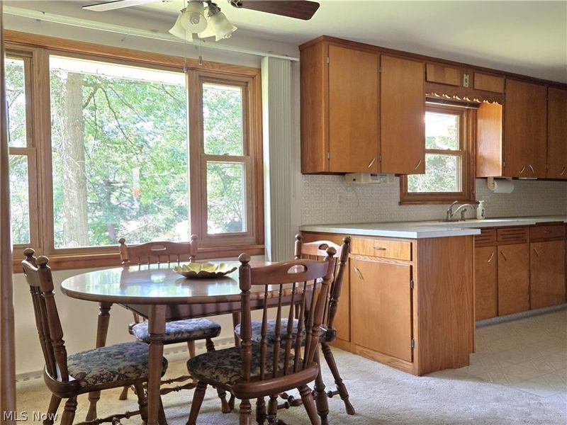 116 Hawthorne Avenue , Rittman, OH 44270 Photo 9