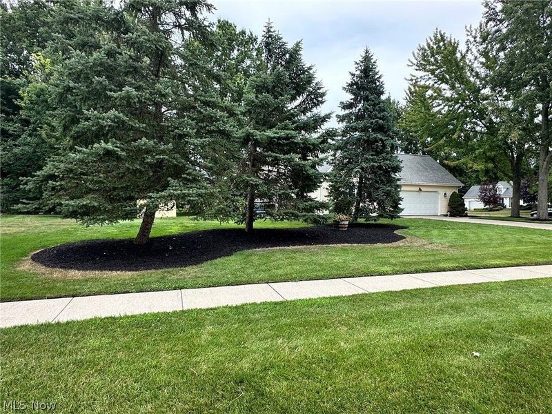 2462 Candlewood Drive, Avon, OH 44011 Photo 9