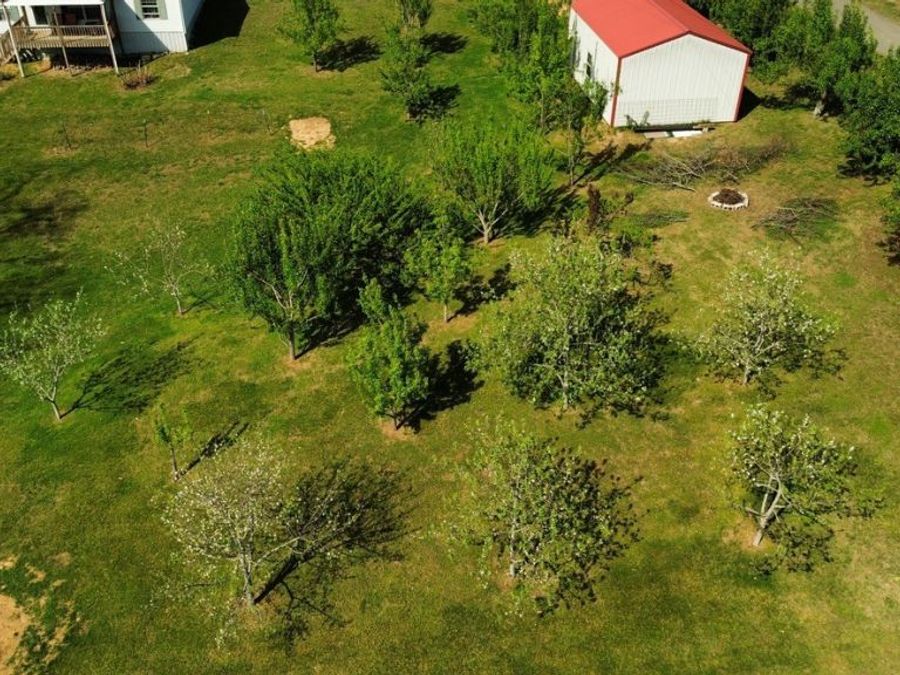 Property Image 42
