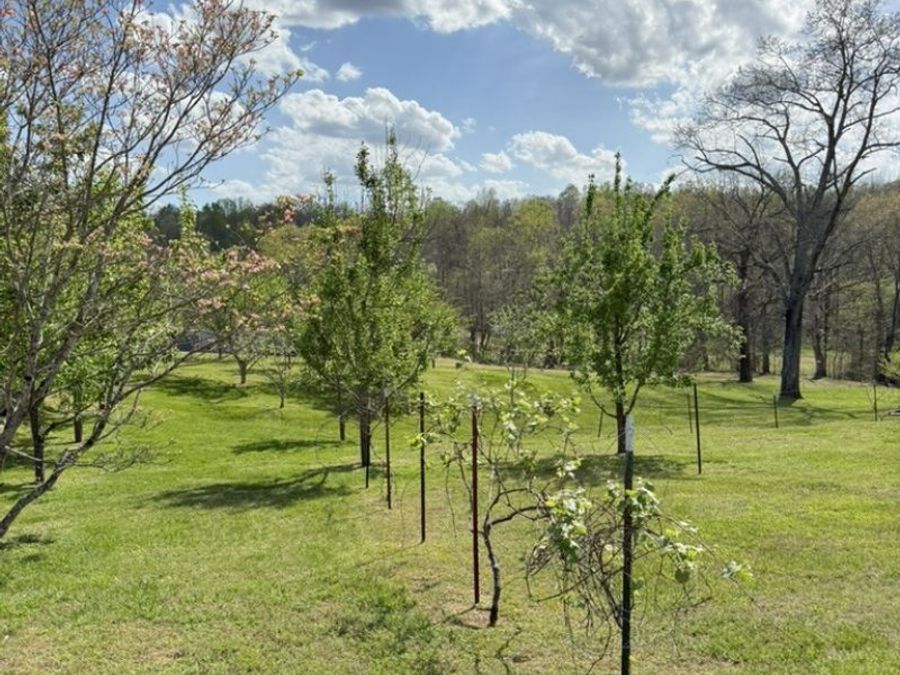Property Image 54