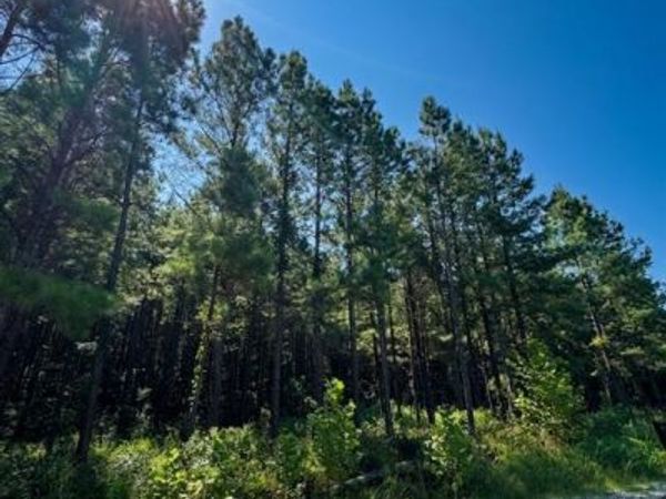 470 Creek Side Trail, Broken Bow, OK 74728