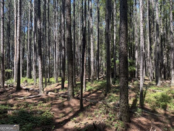 0 Hulmes Chapel, Elberton, GA 30635