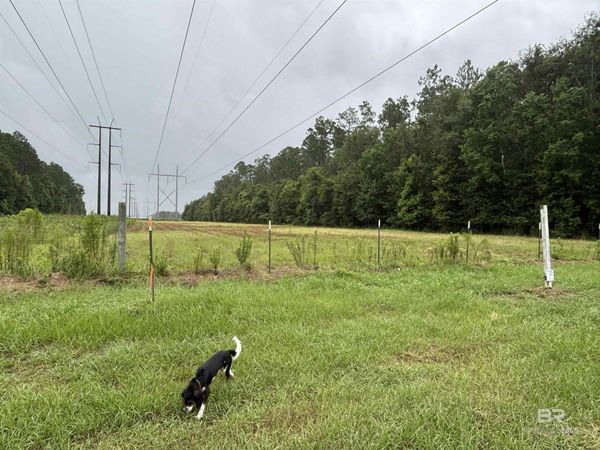 Lot 1 County Road 48, Robertsdale, AL 36567