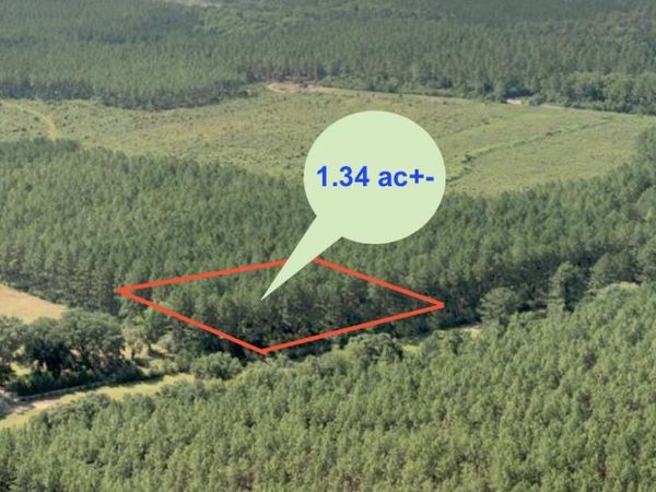 1.34 Acres N Hwy 85, Laurel Hill, FL 32567