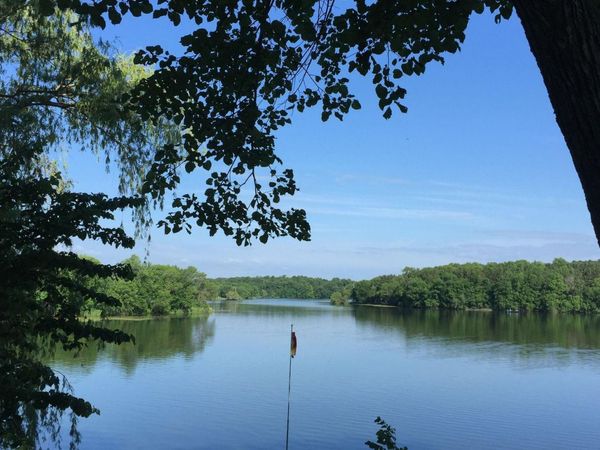 8038 Griffith Avenue NW, Maple Lake, MN 55358