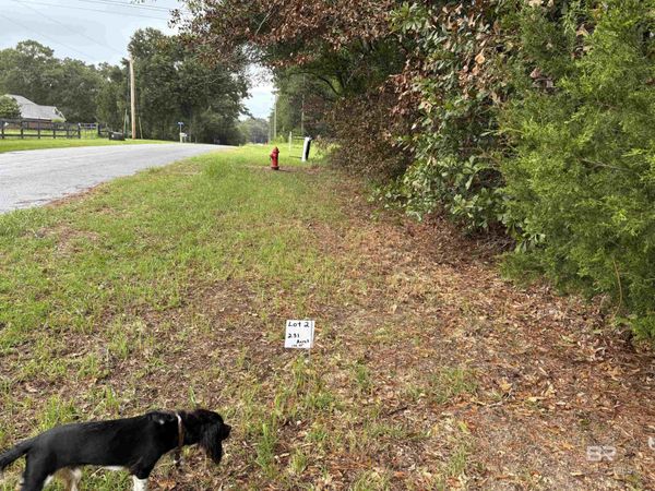 Lot 2 County Road 48, Robertsdale, AL 36567