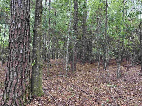 Lot 5 County Road 48, Robertsdale, AL 36567