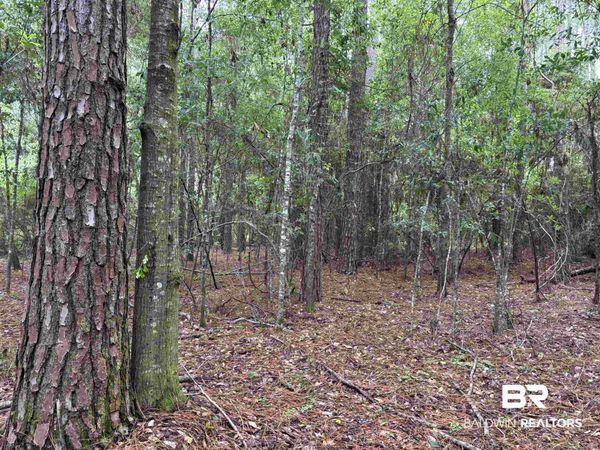Lot 5 County Road 48, Robertsdale, AL 36567