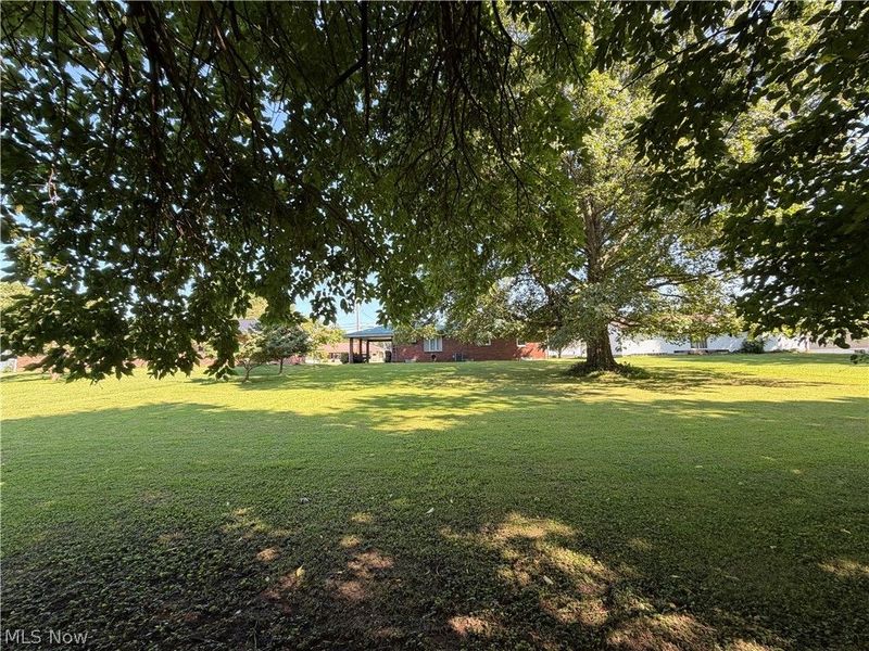 1124 Williamson Avenue, New Matamoras, OH 45767 Photo 4