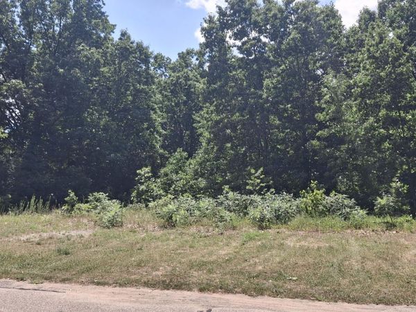 8625 Sunset Drive, Orleans, MI 48865
