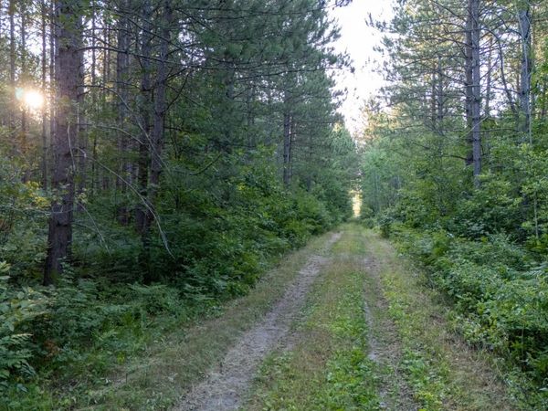 NESW Forest Road 3845 NE, Pennington, MN 56663