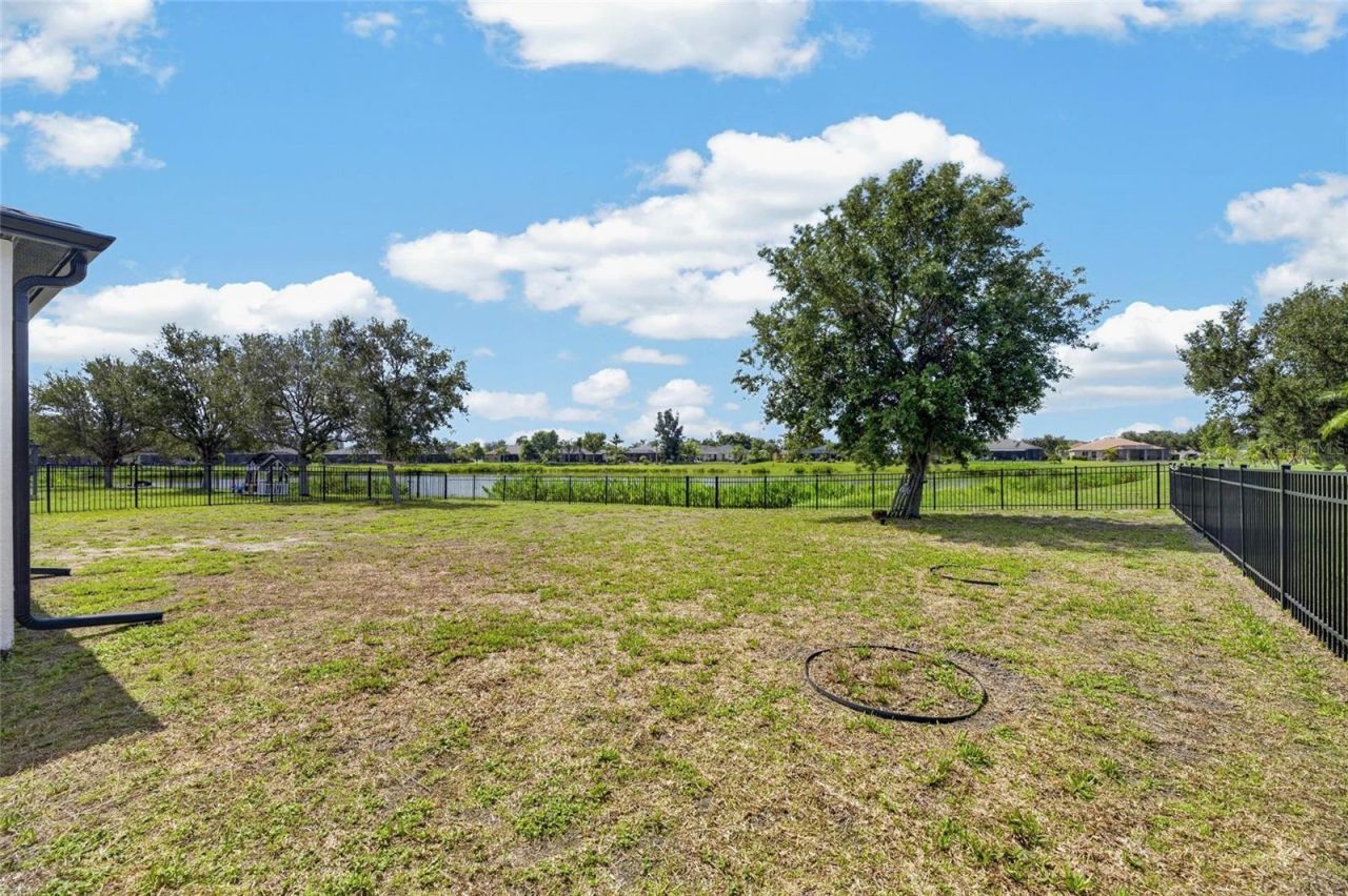 203 Star Shell Drive , Apollo Beach, FL 33572 Photo