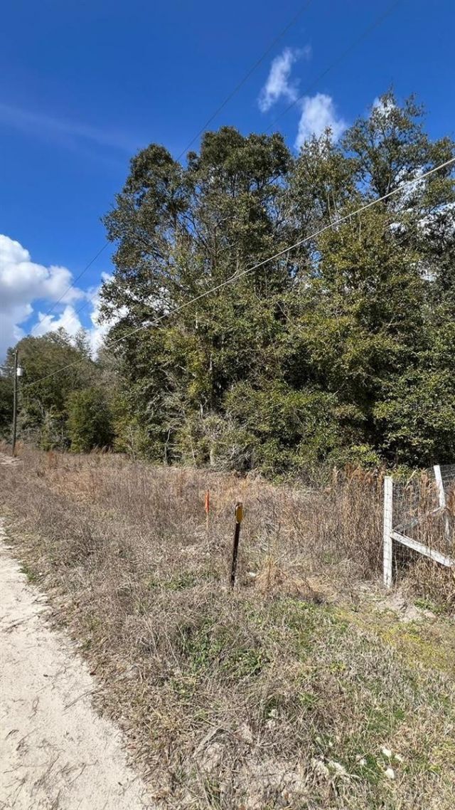 Sw 111 Lane , Dunnellon, FL 34432 Main Photo