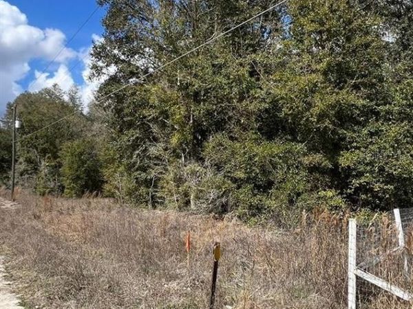 SW 111 LANE , DUNNELLON, FL 34432